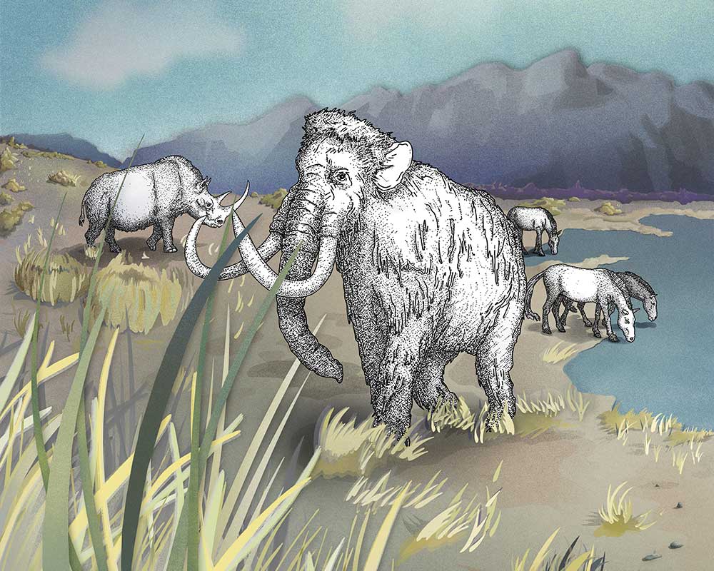 Naturmuseum Olten Steppe