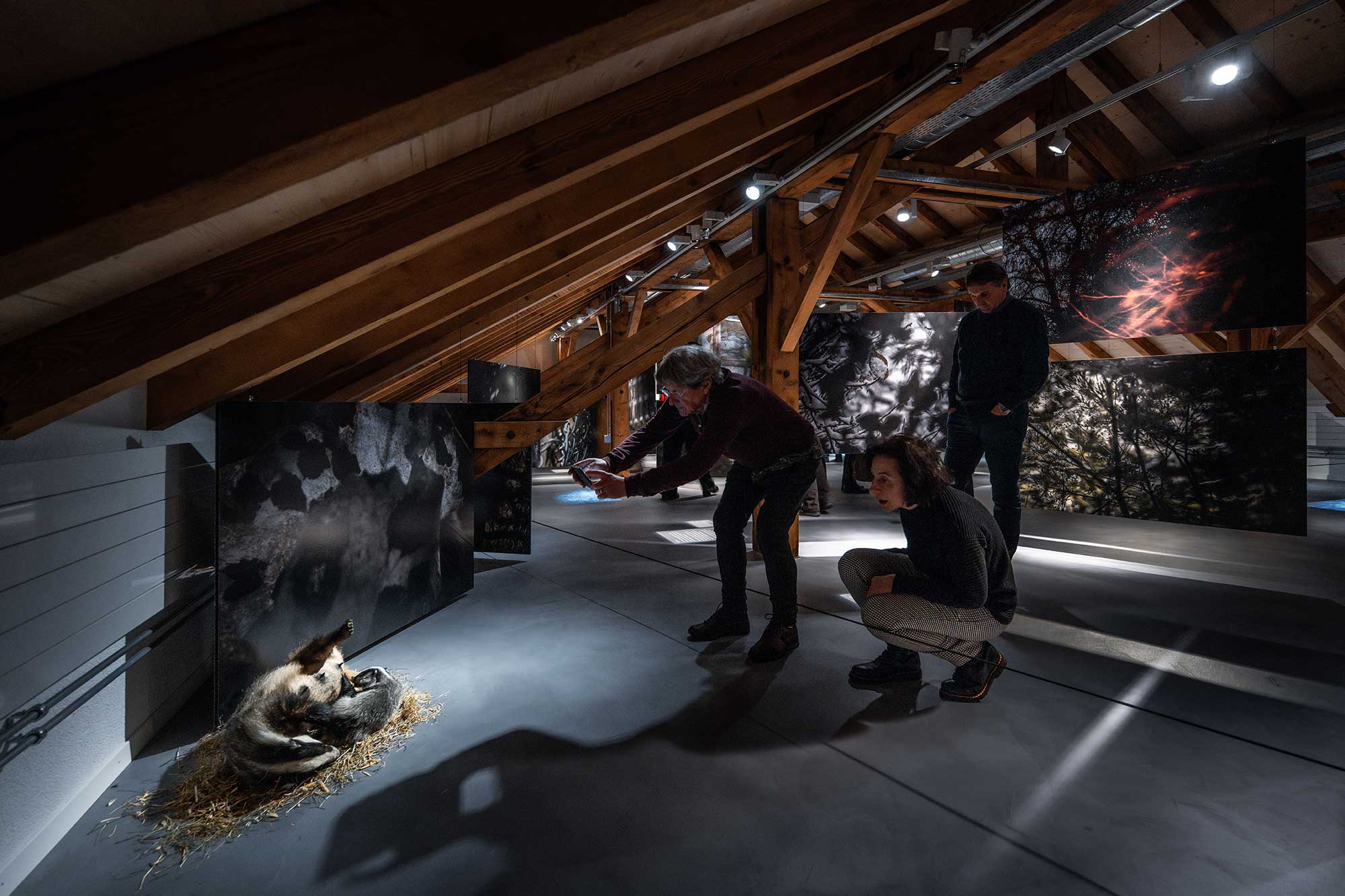 nmo blog 6 dachsskelett 2024