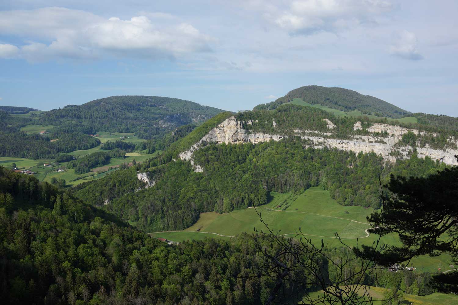 NMO blog Vivien Cosandey 3