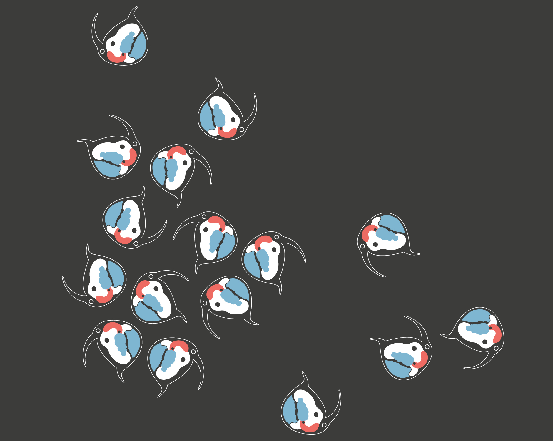 NMO blog Vivien Cosandey 3