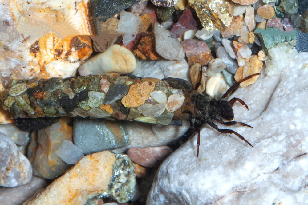 AdobeStock 673379393 2 Benutzerdefiniert