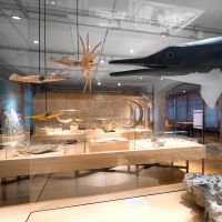 Ferienspecial im Naturmuseum