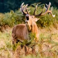 Ferienspecial im Naturmuseum