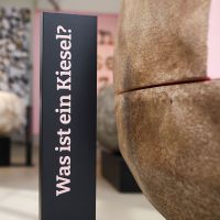 Einführung für Lehrpersonen in die Sonderausstellung «kleiner Kiesel ganz gross»