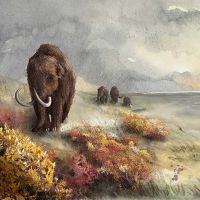 Vortrag «Überreste des Mammuts in der Nordwestschweiz»